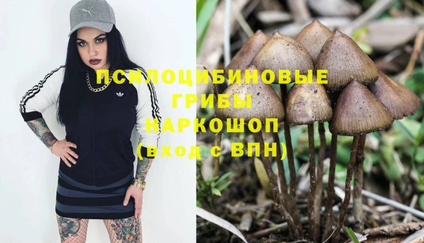 jwh Аркадак