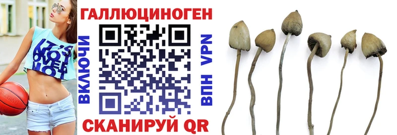 маркетплейс наркотические препараты  Гаджиево  Галлюциногенные грибы Magic Shrooms 